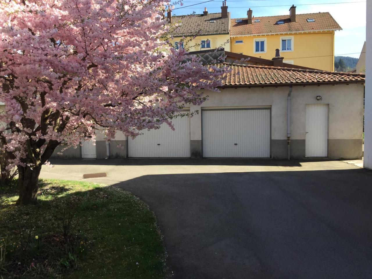 Appartement Le Chamois à Gérardmer Extérieur photo
